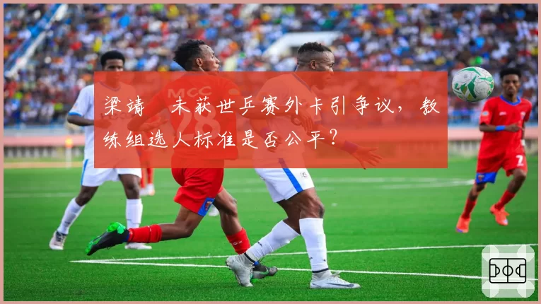 梁靖崑未获世乒赛外卡引争议,教练组选人标准是否公平?