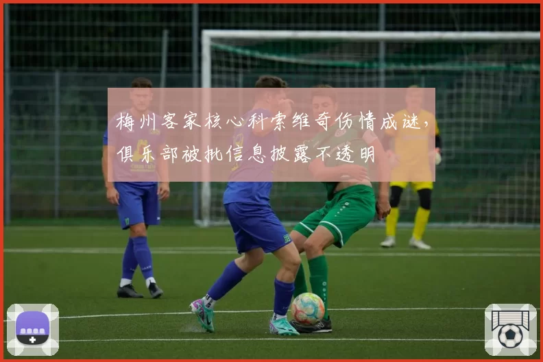 梅州客家核心科索维奇伤情成谜，俱乐部被批信息披露不透明